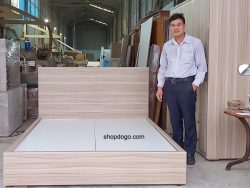 Giường Ngủ 1m6 Có Ngăn Kéo