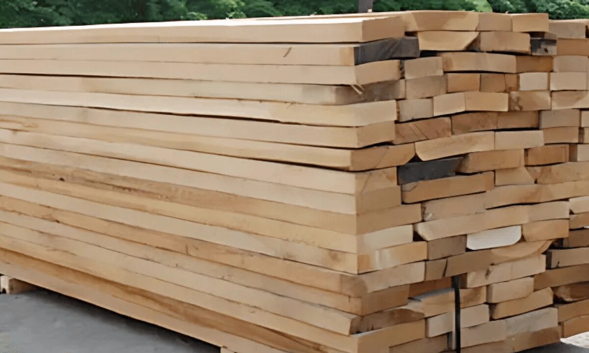 Gỗ Sồi là gì? Đặc điểm, phân loại và ứng dụng trong nội thất