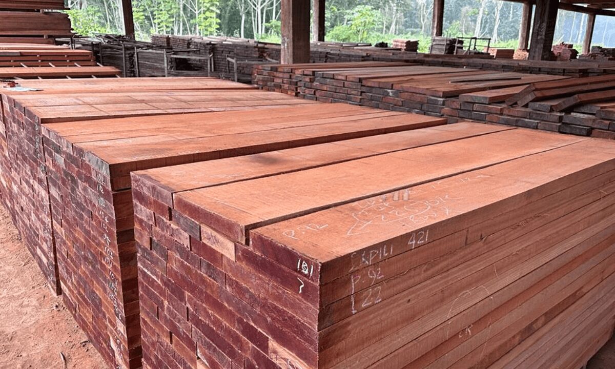 Gỗ Xoan Đào là gì? Tìm hiểu từ A-Z về loại gỗ này 4 Gỗ Xoan Đào là gì? Tìm hiểu từ A-Z về loại gỗ này