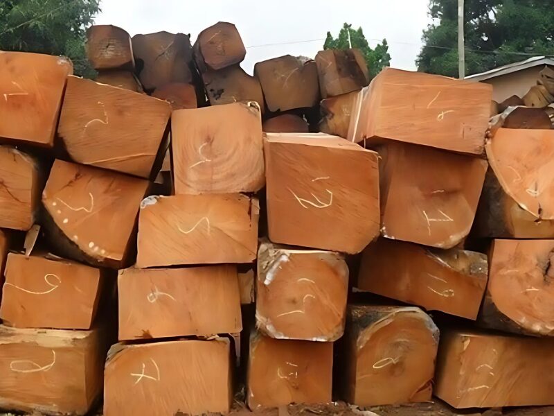 Gỗ gụ Gỗ gụ