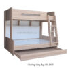 Giường tầng đẹp MS 2435