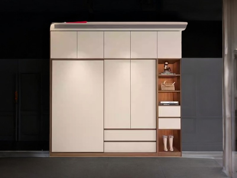 Tủ quần áo tại Quận 1 mẫu đẹp giá tốt nhiều lựa chọn 2 Tủ quần áo tại Quận 1 mẫu đẹp giá tốt nhiều lựa chọn