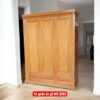 Mẫu tủ quần áo hiện đại MS 3262
