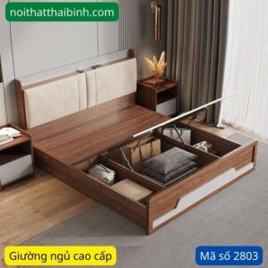 Giường ngủ hiện đại MS 2803