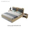 Giường ngủ hiện đại có ngăn kéo MS 2134 3 Giường ngủ hiện đại có ngăn kéo MS 2134