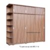 Tủ quần áo cao đụng trần MS 2110