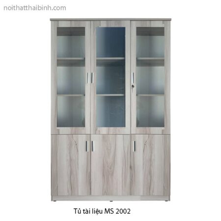 Tủ đựng tài liệu MS 2002